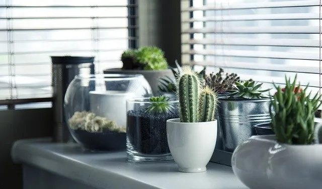 Donice ceramiczne - wady i zalety